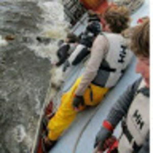 Meet your Posher, Marinalife